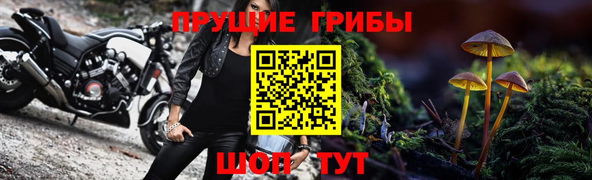 Галлюциногенные грибы Psilocybe  Вход с VPN  Галлюциногенные грибы Psilocybe  Якутск 